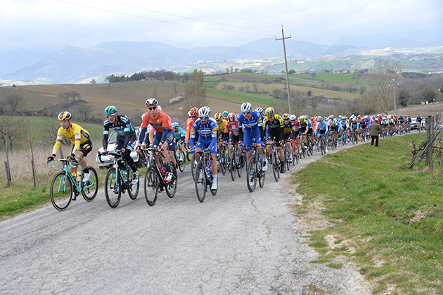 Peloton